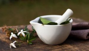 close-up-bowl-with-plants