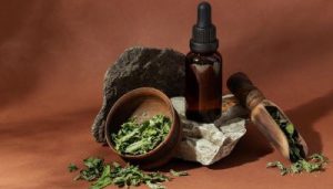 herbal-medicine-with-plants-assortment