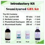 GBX Kit
